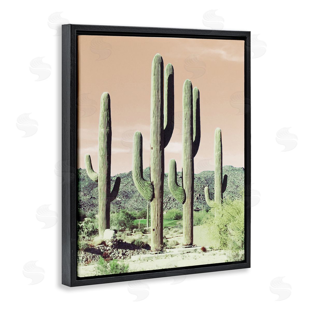 Susan Bryant Towering Cactus Plants Arid Desert Vegetation Nature Black Floating Frame Canvas Wall Art Print