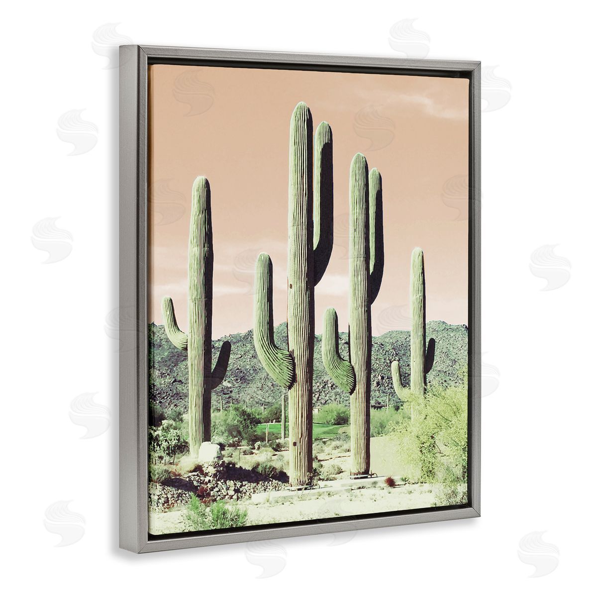 Susan Bryant Towering Cactus Plants Arid Desert Vegetation Nature Gray Floating Frame Canvas Wall Art Print