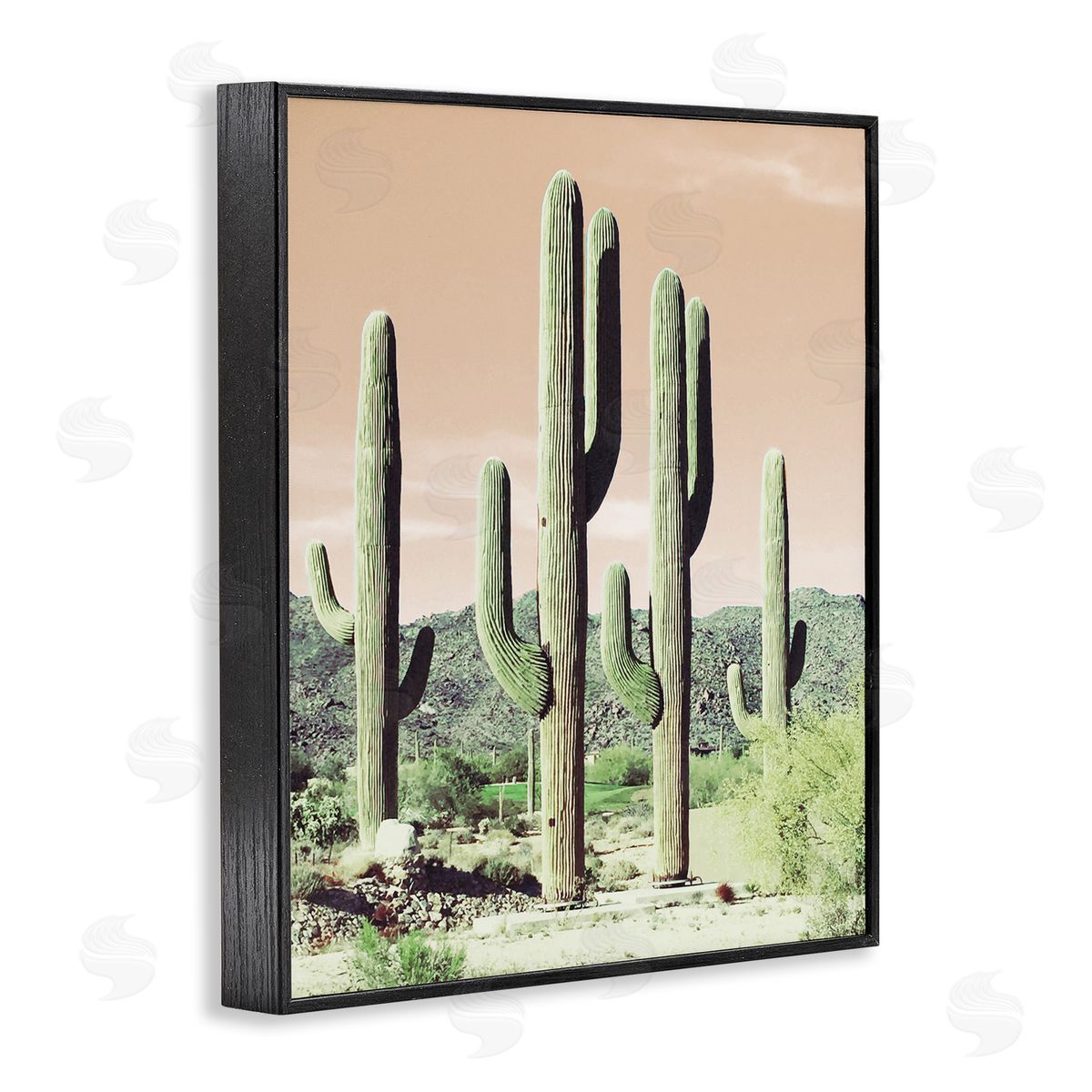Susan Bryant Towering Cactus Plants Arid Desert Vegetation Nature Black Framed Giclee Wall Art Print