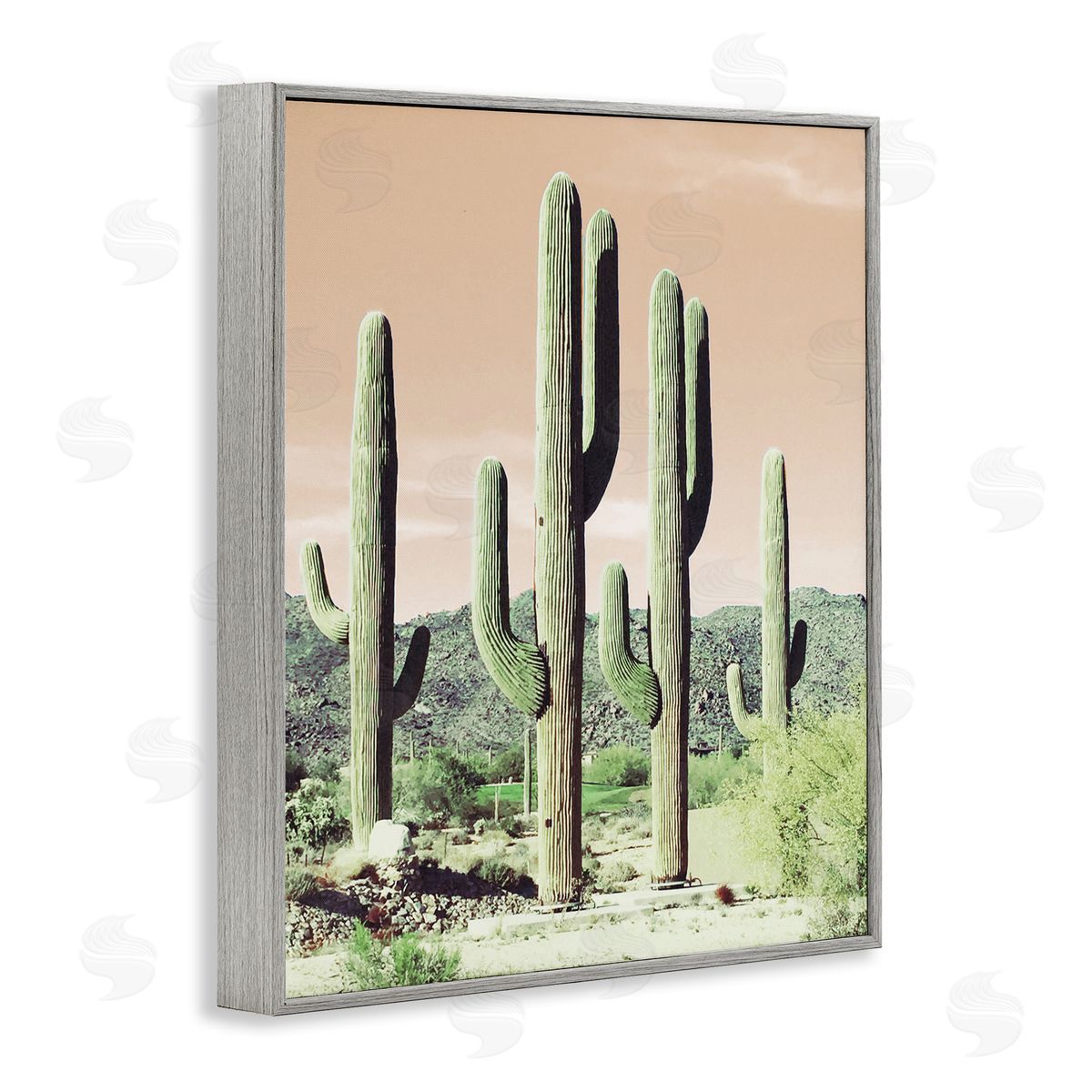 Susan Bryant Towering Cactus Plants Arid Desert Vegetation Nature Gray Framed Giclee Wall Art Print