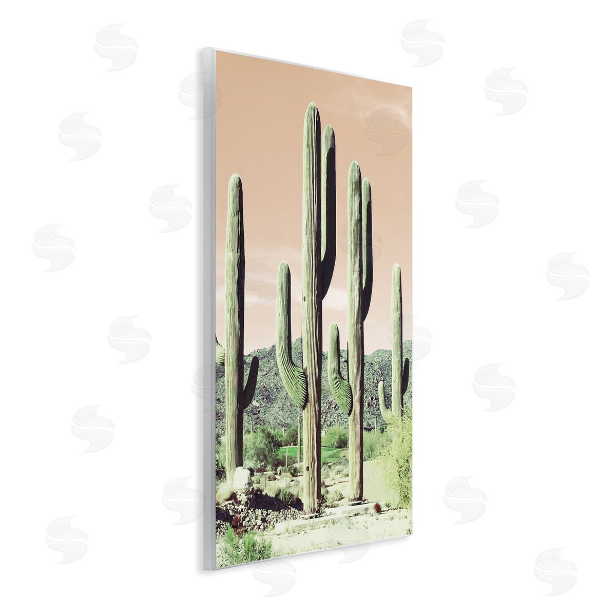 Susan Bryant Towering Cactus Plants Arid Desert Vegetation Nature Wall Plaque Art Print