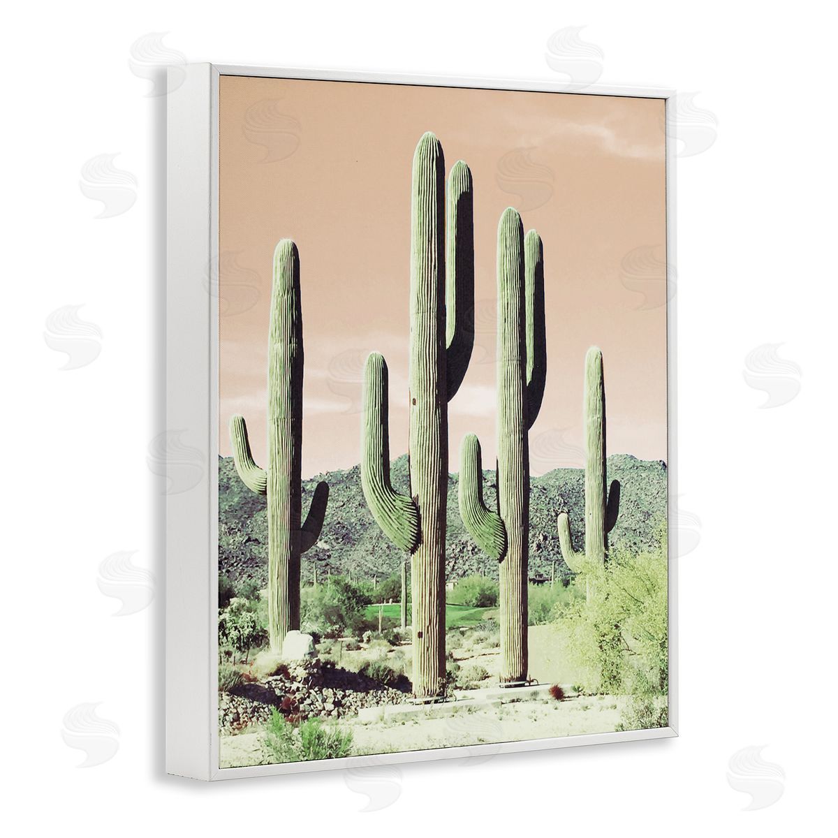 Susan Bryant Towering Cactus Plants Arid Desert Vegetation Nature White Framed Giclee Wall Art Print
