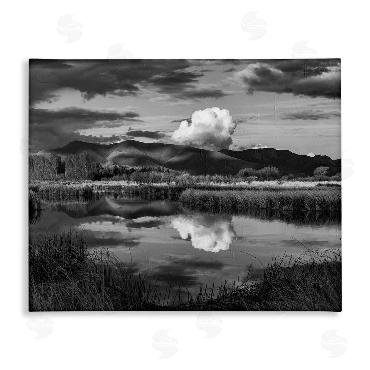 Steve Smith Puffy Cloud Over Mountain Grassy Marsh Landscape Stretched Canvas Wall Art Print