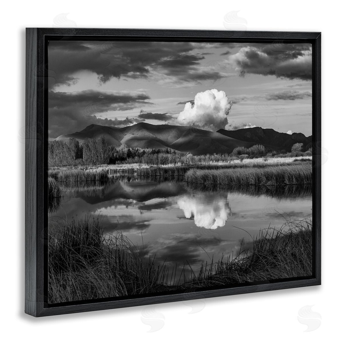 Steve Smith Puffy Cloud Over Mountain Grassy Marsh Landscape Black Floating Frame Canvas Wall Art Print