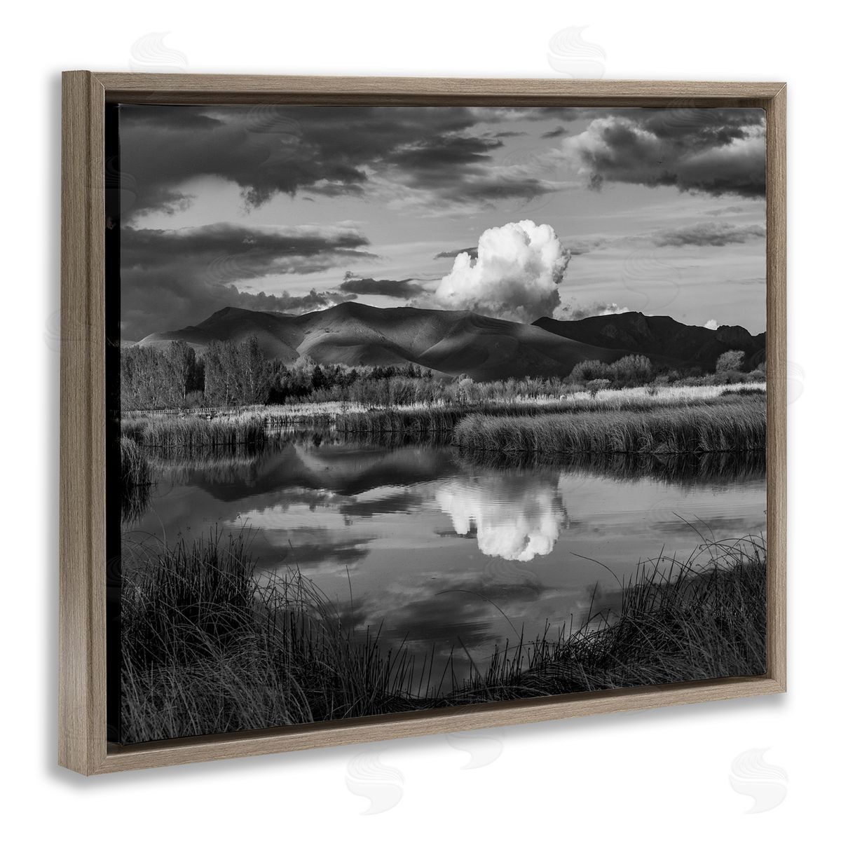 Steve Smith Puffy Cloud Over Mountain Grassy Marsh Landscape Brown Floating Frame Canvas Wall Art Print
