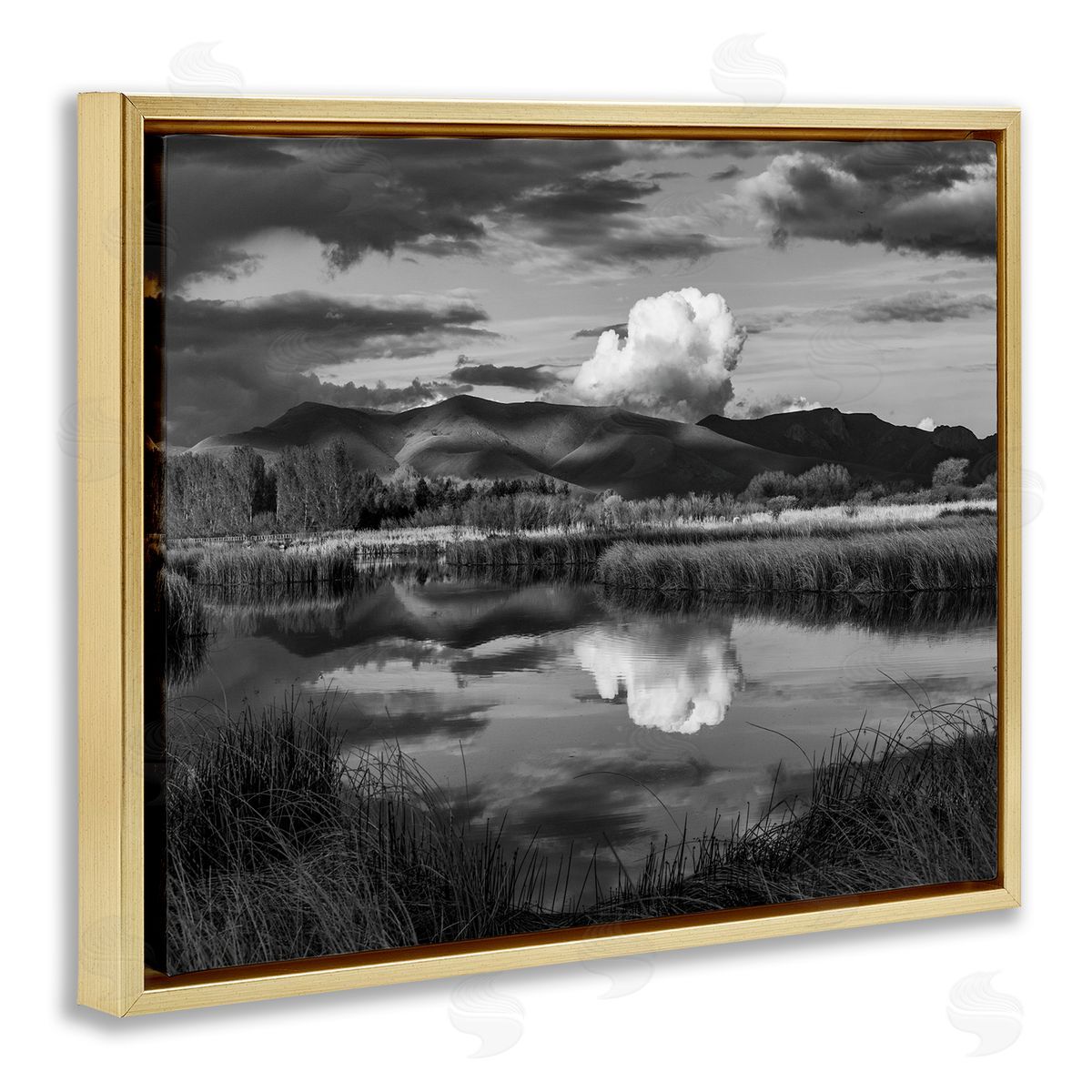 Steve Smith Puffy Cloud Over Mountain Grassy Marsh Landscape Gold Floating Frame Canvas Wall Art Print