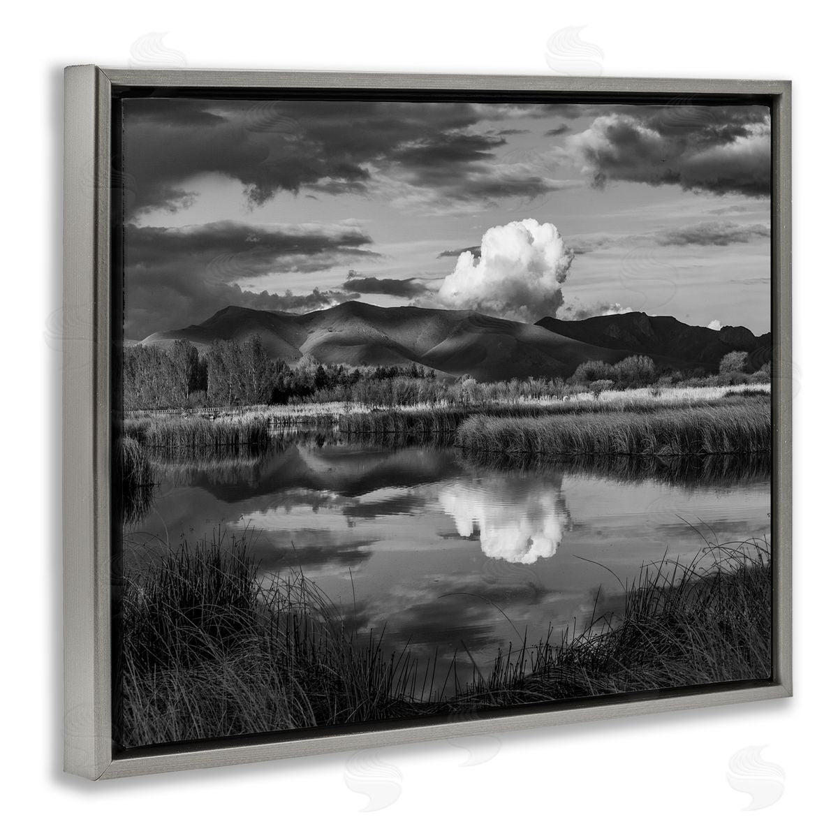 Steve Smith Puffy Cloud Over Mountain Grassy Marsh Landscape Gray Floating Frame Canvas Wall Art Print