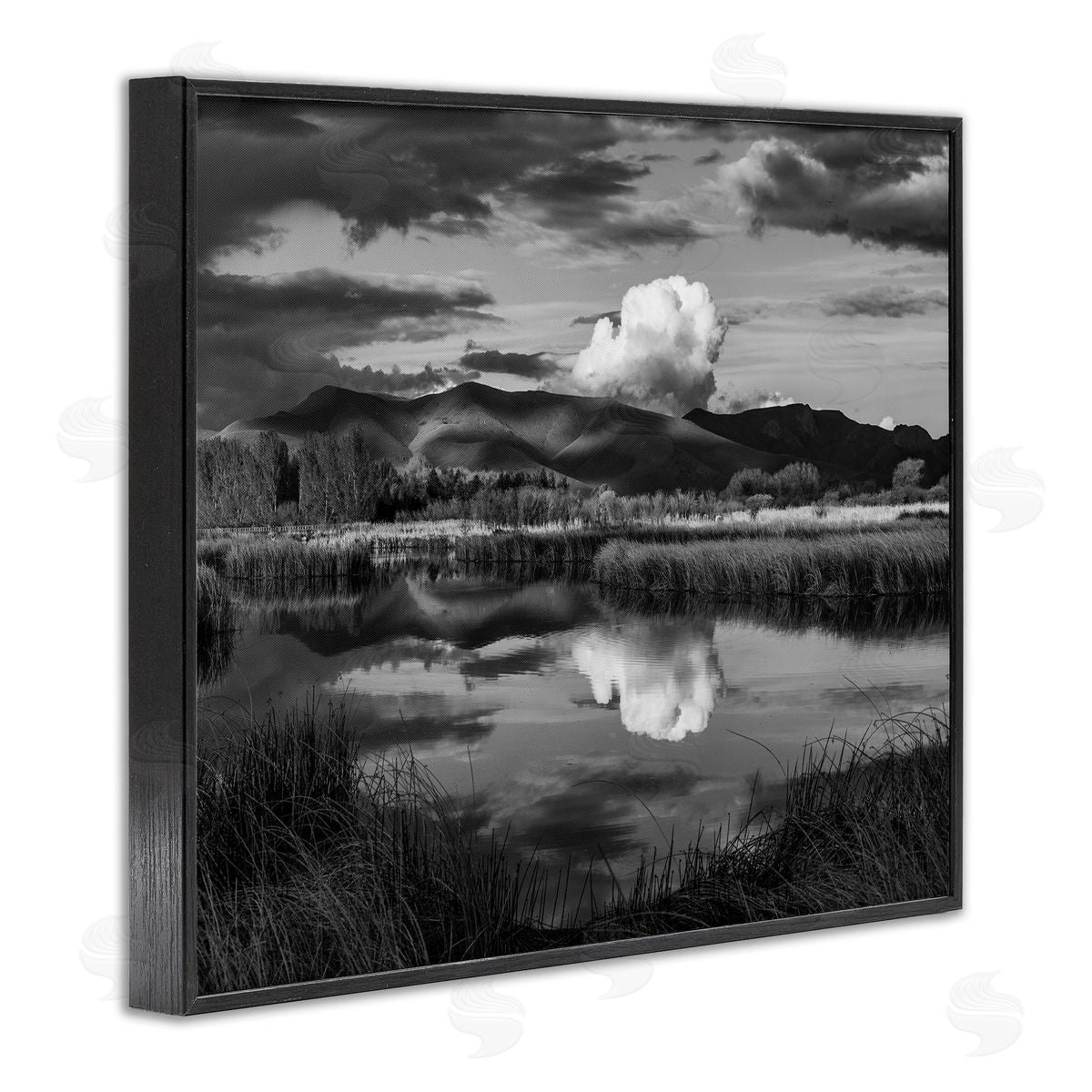 Steve Smith Puffy Cloud Over Mountain Grassy Marsh Landscape Black Framed Giclee Wall Art Print