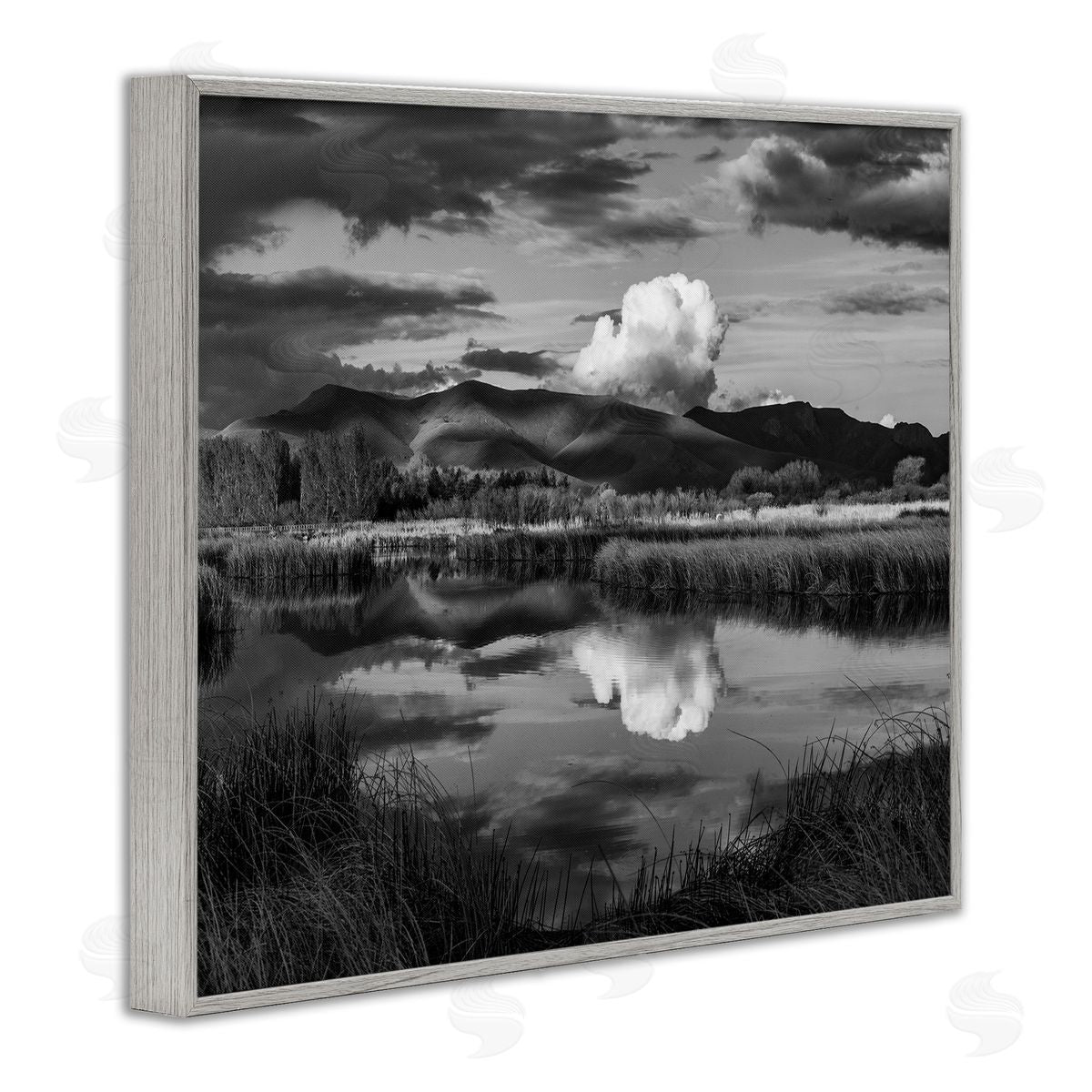 Steve Smith Puffy Cloud Over Mountain Grassy Marsh Landscape Gray Framed Giclee Wall Art Print