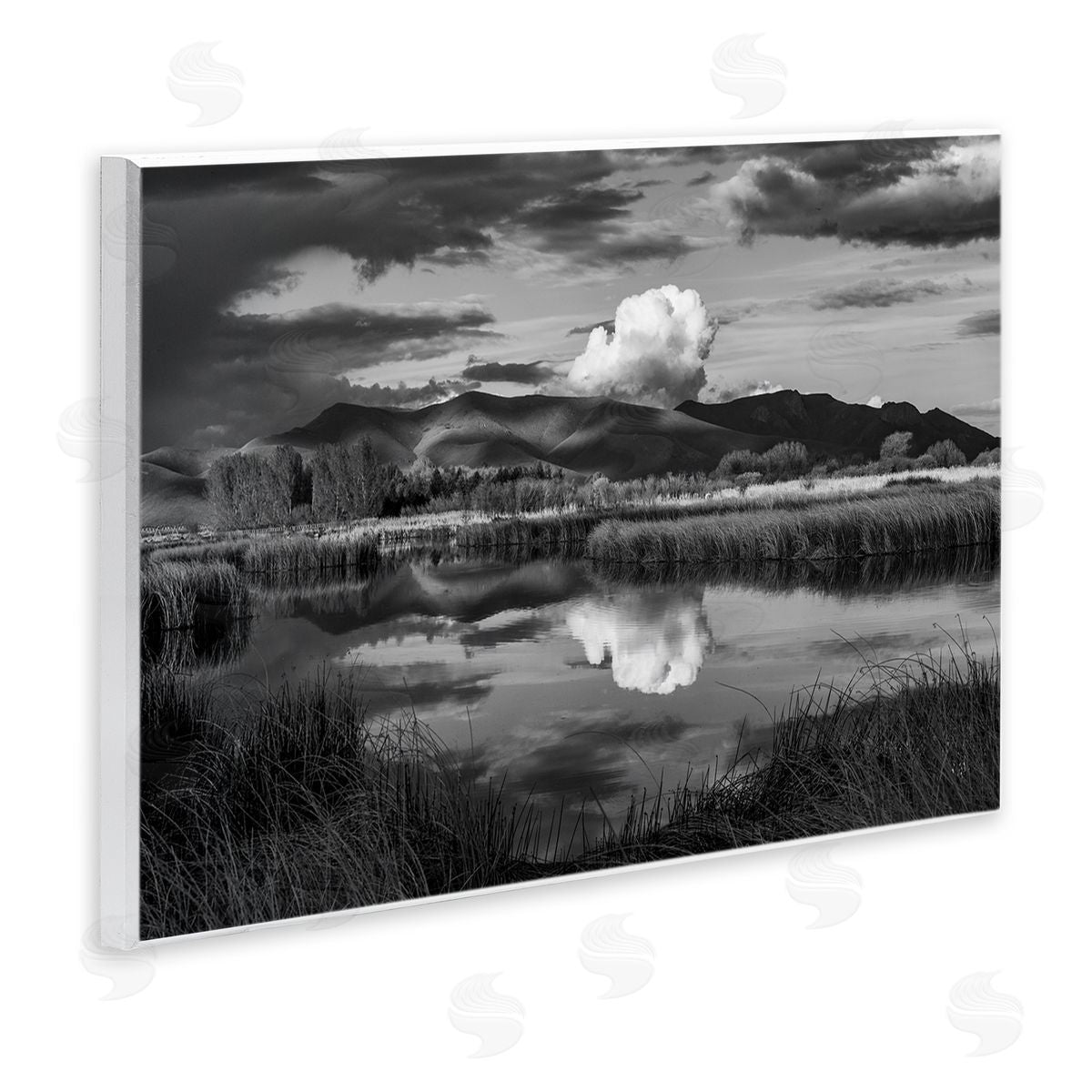 Steve Smith Puffy Cloud Over Mountain Grassy Marsh Landscape Wall Plaque Art Print