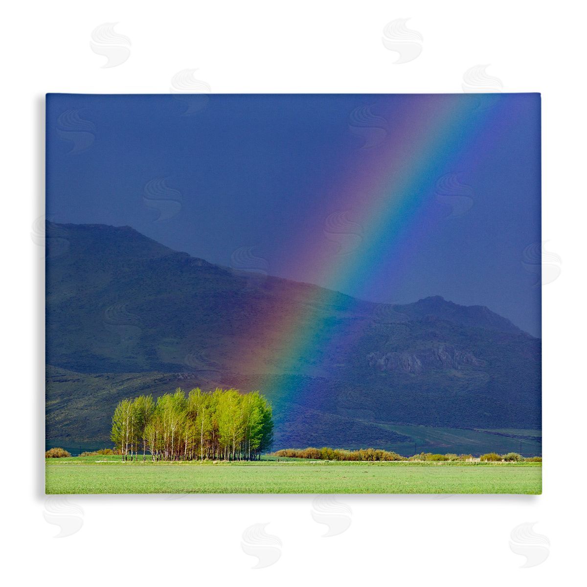 Steve Smith Uplifting Rainbow Rays Tree Grove Mountain Landscape Stretched Canvas Wall Art Print