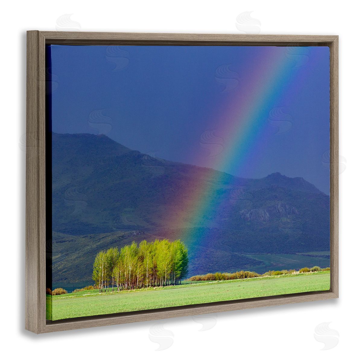 Steve Smith Uplifting Rainbow Rays Tree Grove Mountain Landscape Brown Floating Frame Canvas Wall Art Print