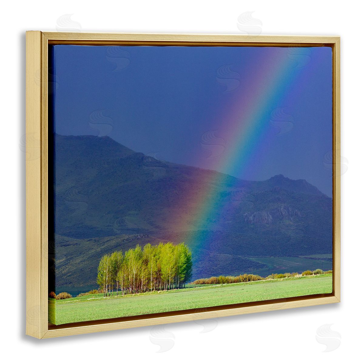 Steve Smith Uplifting Rainbow Rays Tree Grove Mountain Landscape Gold Floating Frame Canvas Wall Art Print