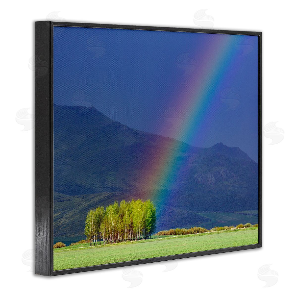 Steve Smith Uplifting Rainbow Rays Tree Grove Mountain Landscape Black Framed Giclee Wall Art Print