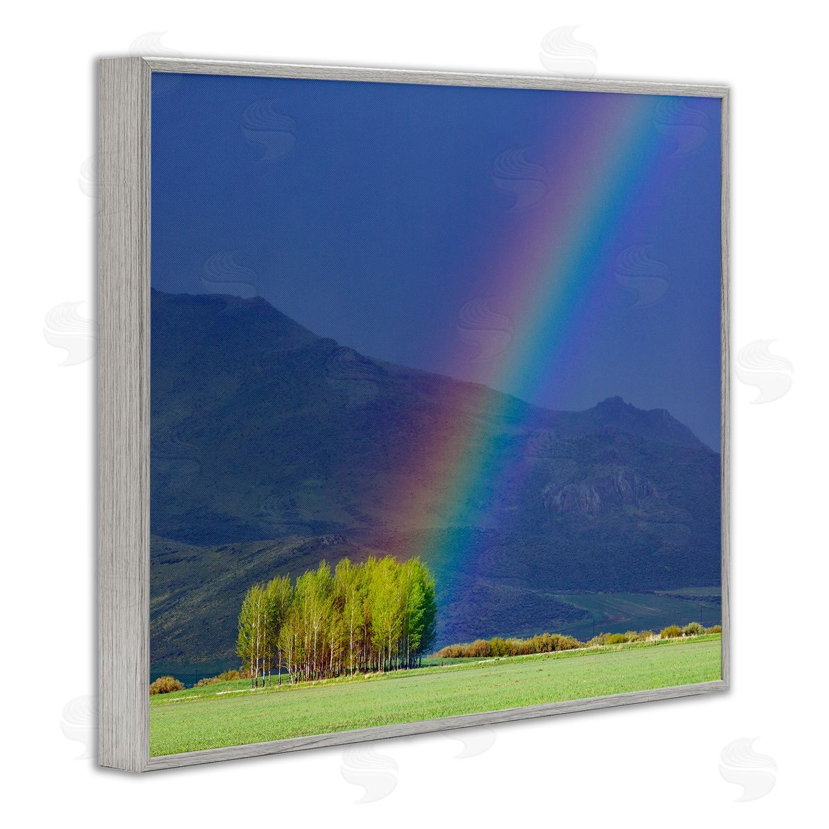 Steve Smith Uplifting Rainbow Rays Tree Grove Mountain Landscape Gray Framed Giclee Wall Art Print