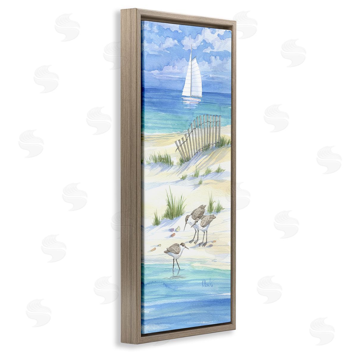 Paul Brent Beachside Coastal Sandpiper Birds