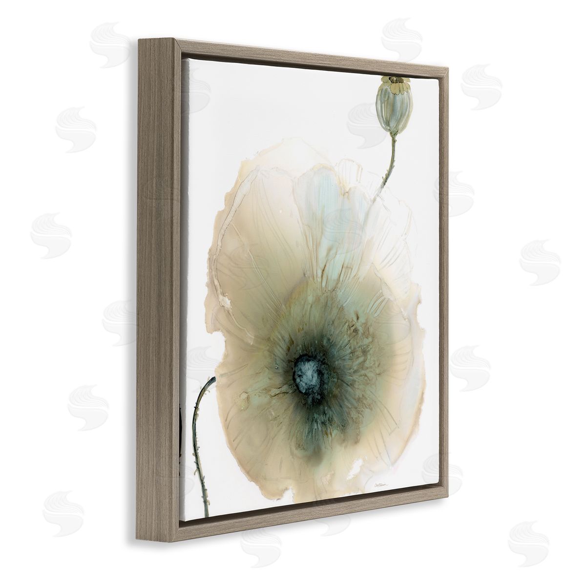 Carol Robinson Modern Poppy Flower Blossom Composition Brown Floating Frame Canvas Wall Art Print