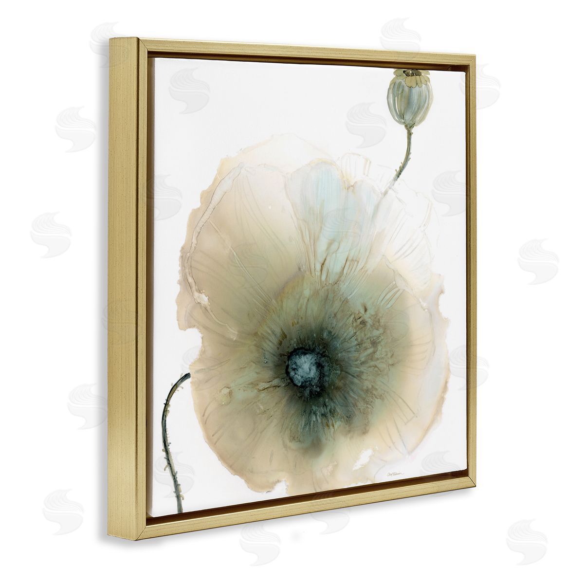 Carol Robinson Modern Poppy Flower Blossom Composition Gold Floating Frame Canvas Wall Art Print