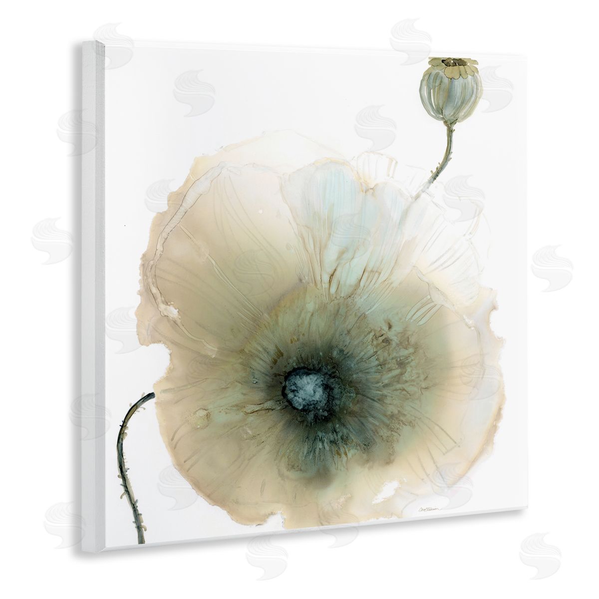 Carol Robinson Modern Poppy Flower Blossom Composition Wooden Wall Plaque Art Print