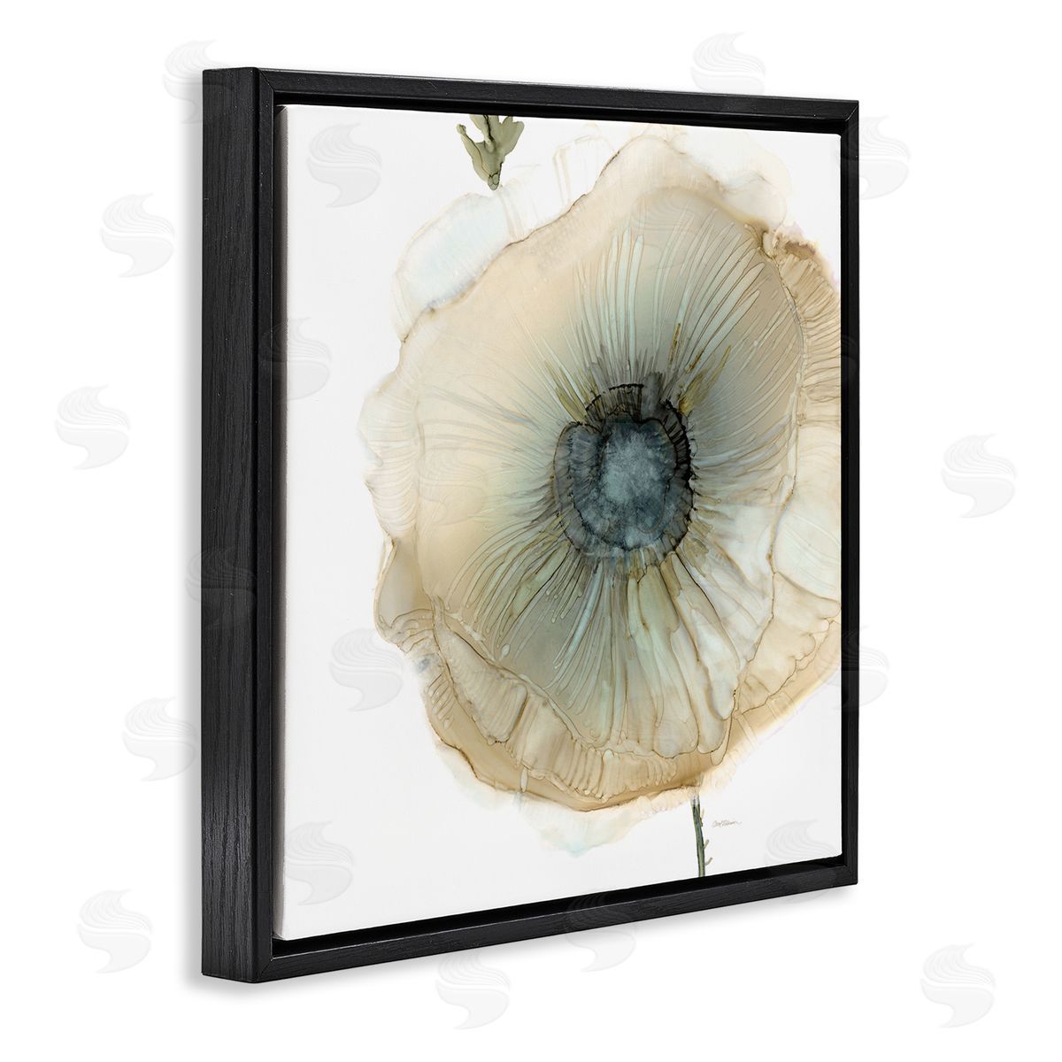 Carol Robinson Contemporary Flower Petal Poppy Blossom Black Floating Frame Canvas Wall Art Print