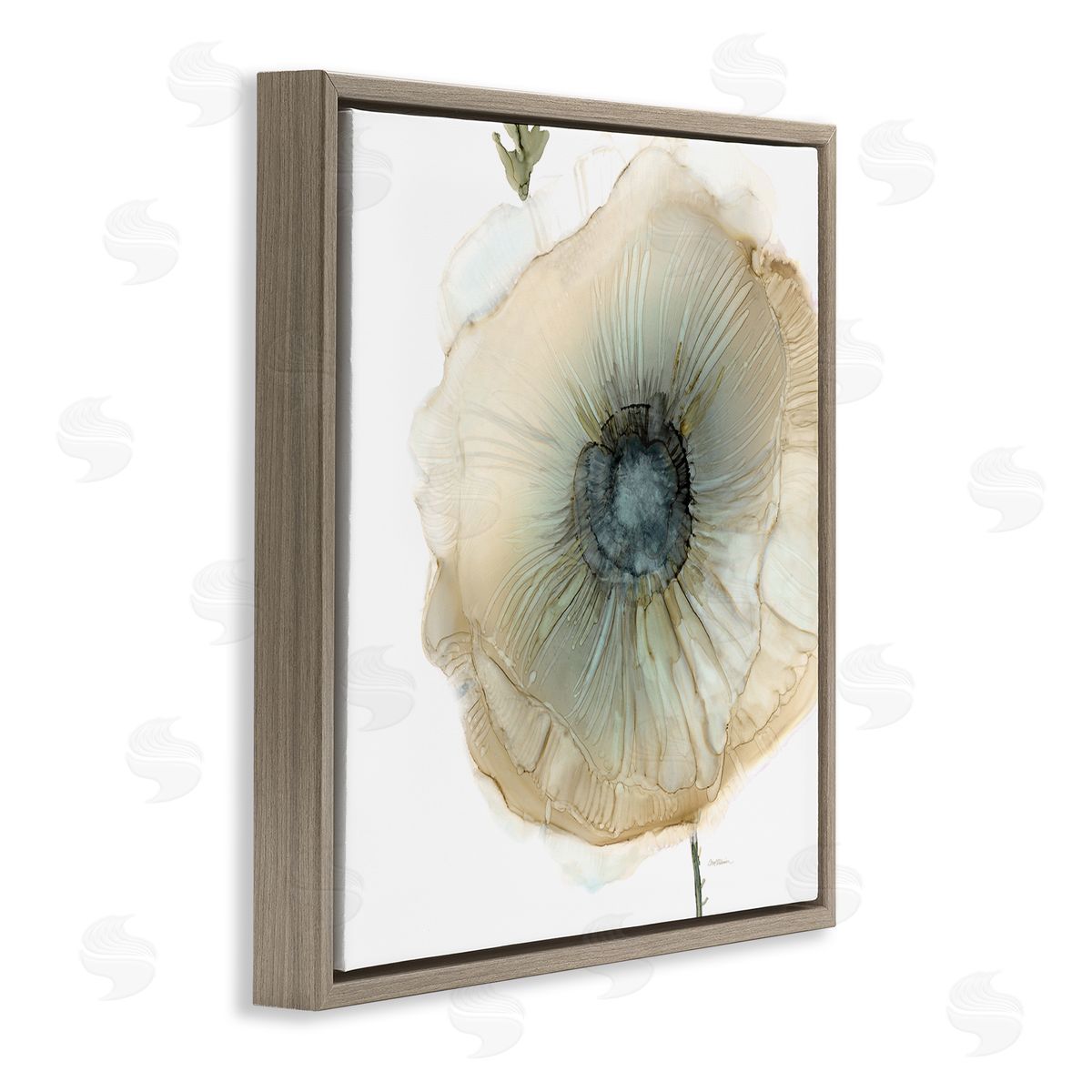 Carol Robinson Contemporary Flower Petal Poppy Blossom Brown Floating Frame Canvas Wall Art Print