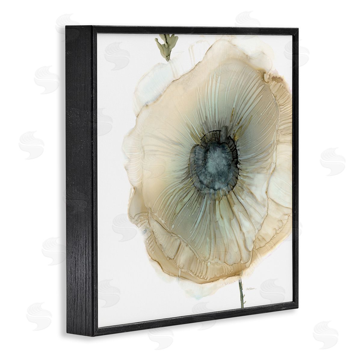 Carol Robinson Contemporary Flower Petal Poppy Blossom Black Framed Glicee Wall Art Print