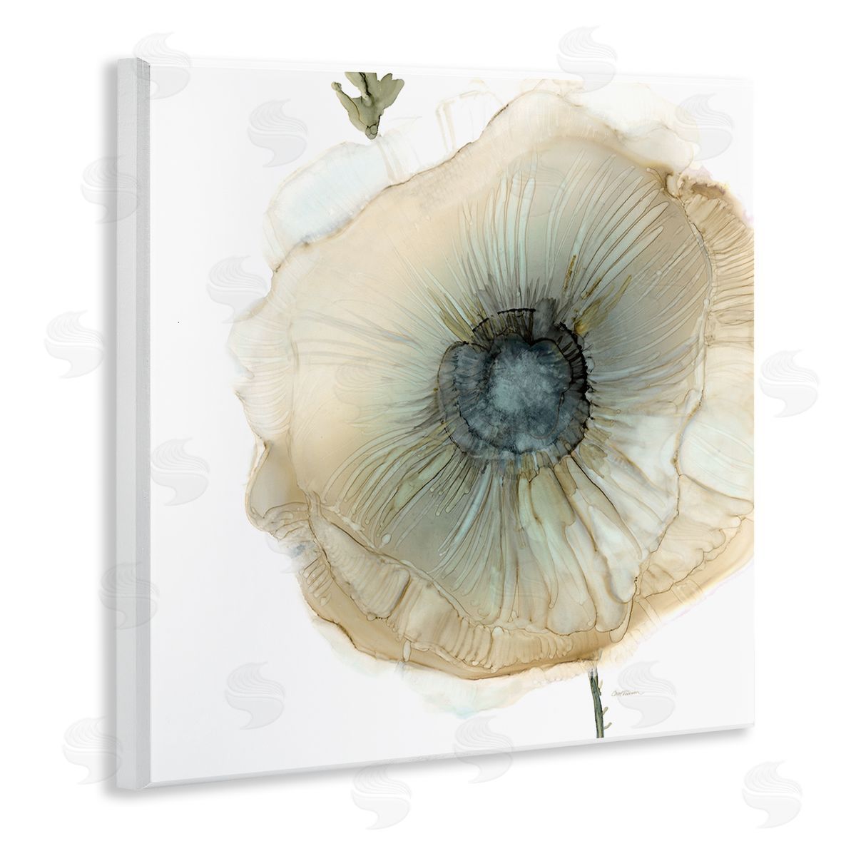 Carol Robinson Contemporary Flower Petal Poppy Blossom Wooden Wall Plaque Art Print