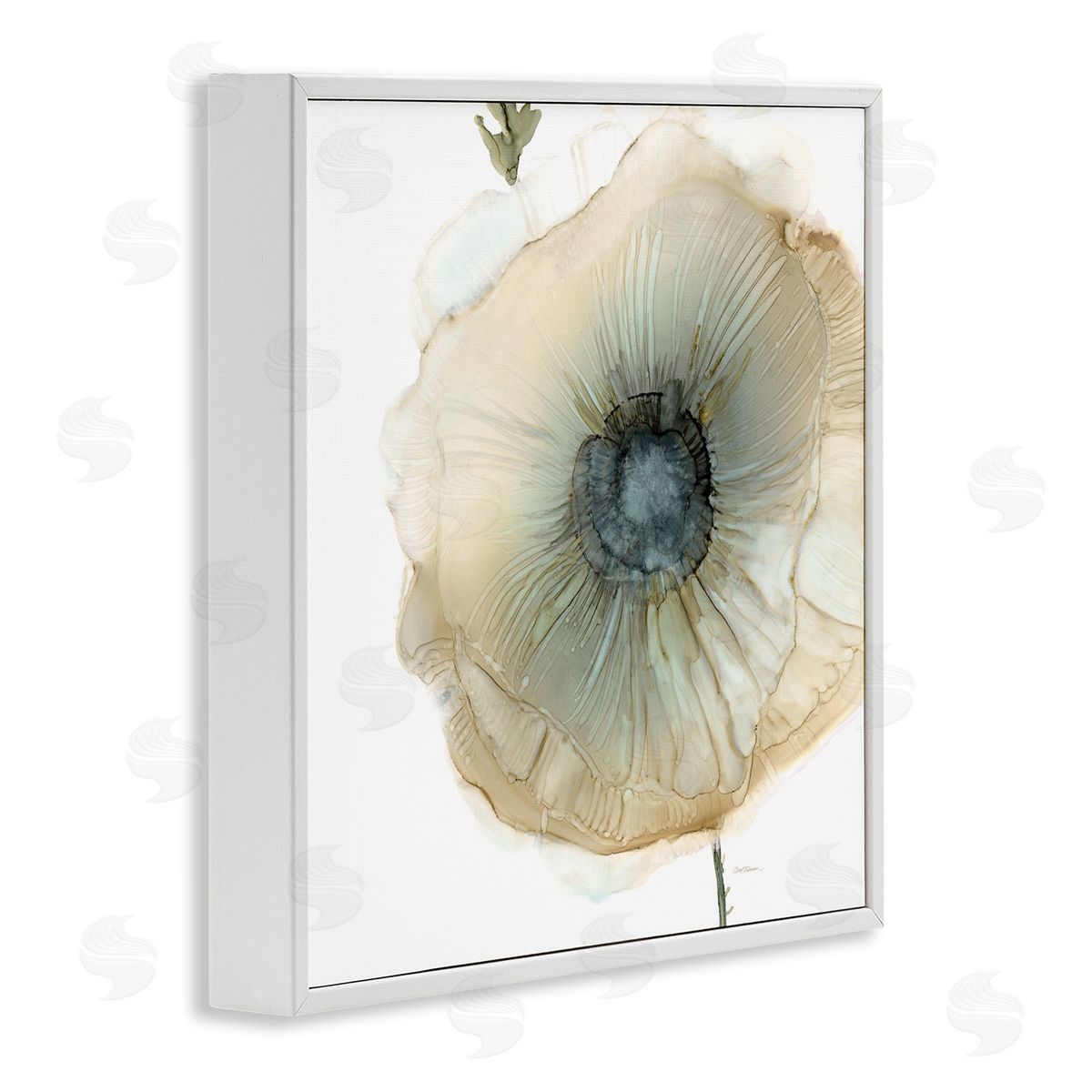 Carol Robinson Contemporary Flower Petal Poppy Blossom White Framed Glicee Wall Art Print