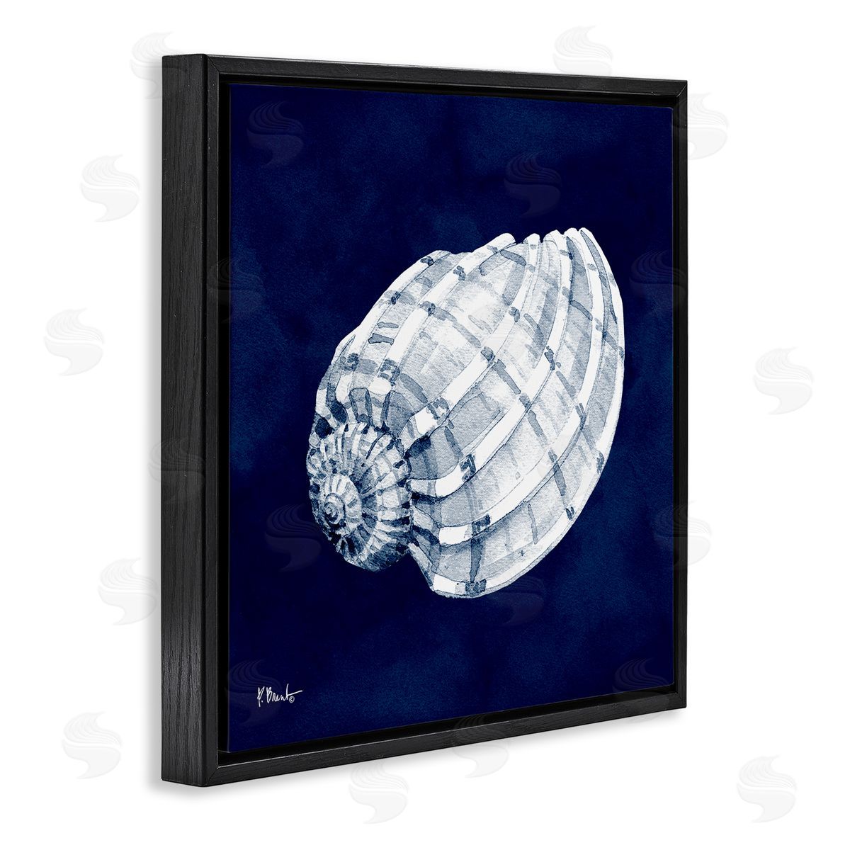 Paul Brent Cyanotype Shells Coastal Illustration Black Floating Frame Canvas Wall Art Print