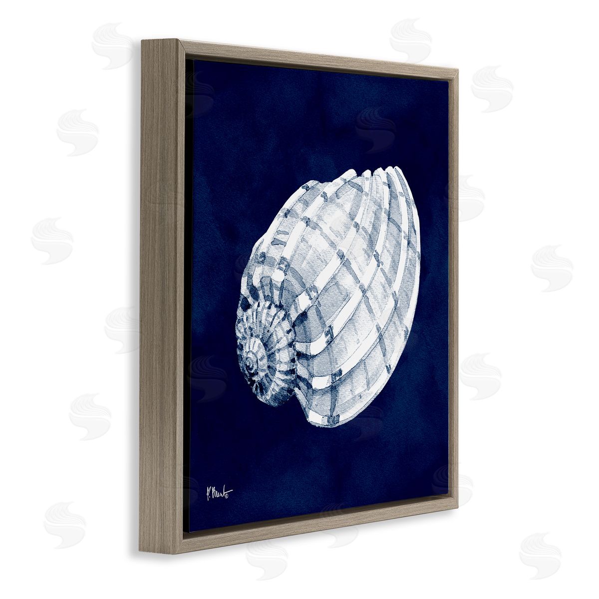 Paul Brent Cyanotype Shells Coastal Illustration Brown Floating Frame Canvas Wall Art Print