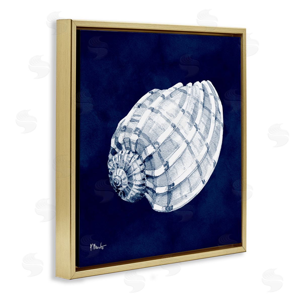 Paul Brent Cyanotype Shells Coastal Illustration Gold Floating Frame Canvas Wall Art Print