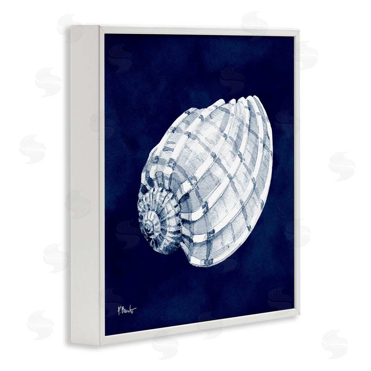 Paul Brent Cyanotype Shells Coastal Illustration White Framed Glicee Wall Art Print