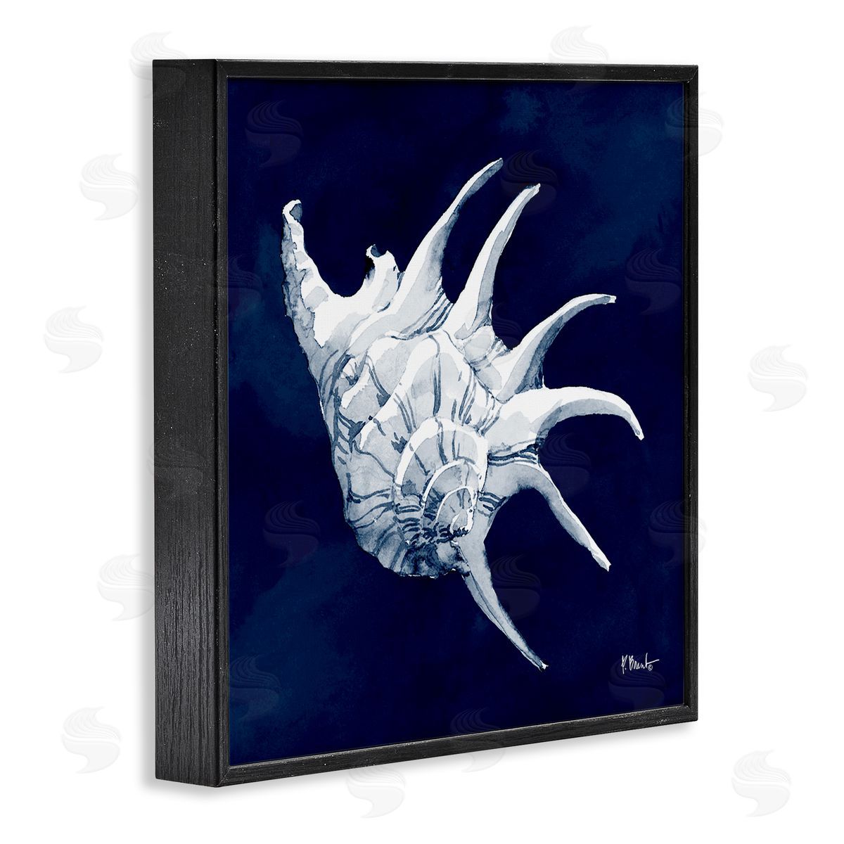 Paul Brent Cyanotype Shells Traditional Conch Black Framed Glicee Wall Art Print