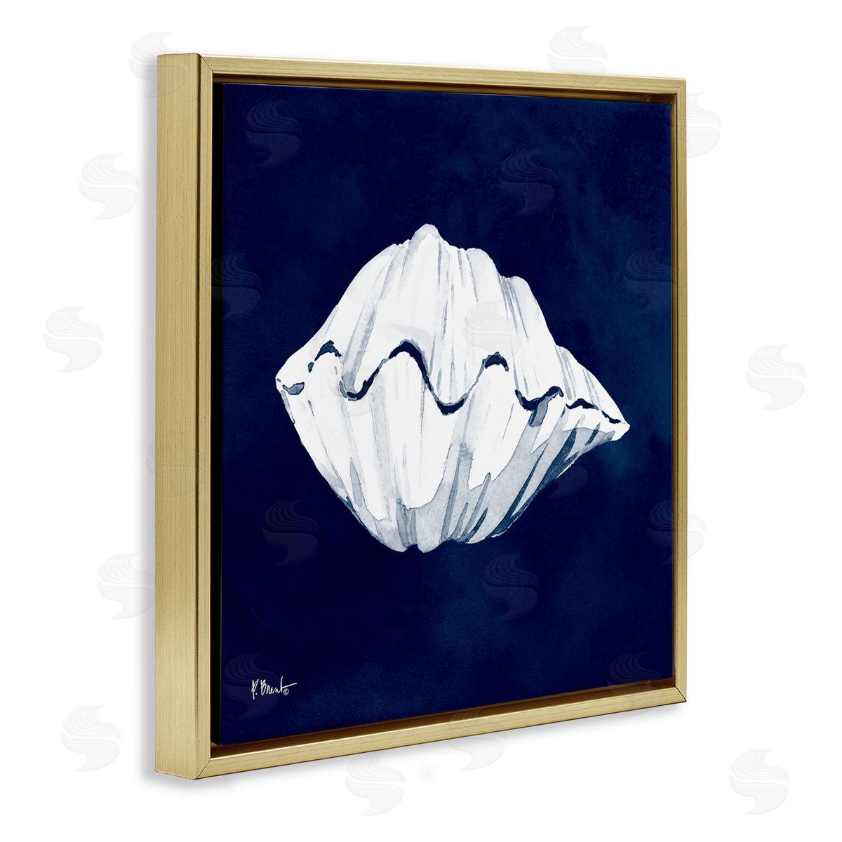 Paul Brent Cyanotype Shells Coastal Clam Gold Floating Frame Canvas Wall Art Print