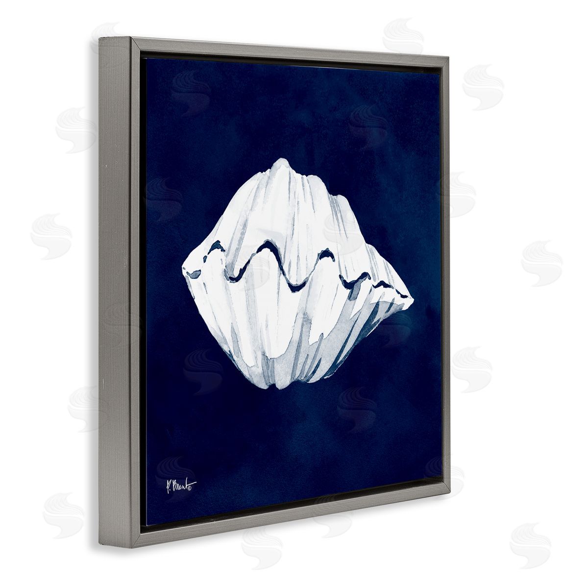 Paul Brent Cyanotype Shells Coastal Clam Gray Floating Frame Canvas Wall Art Print