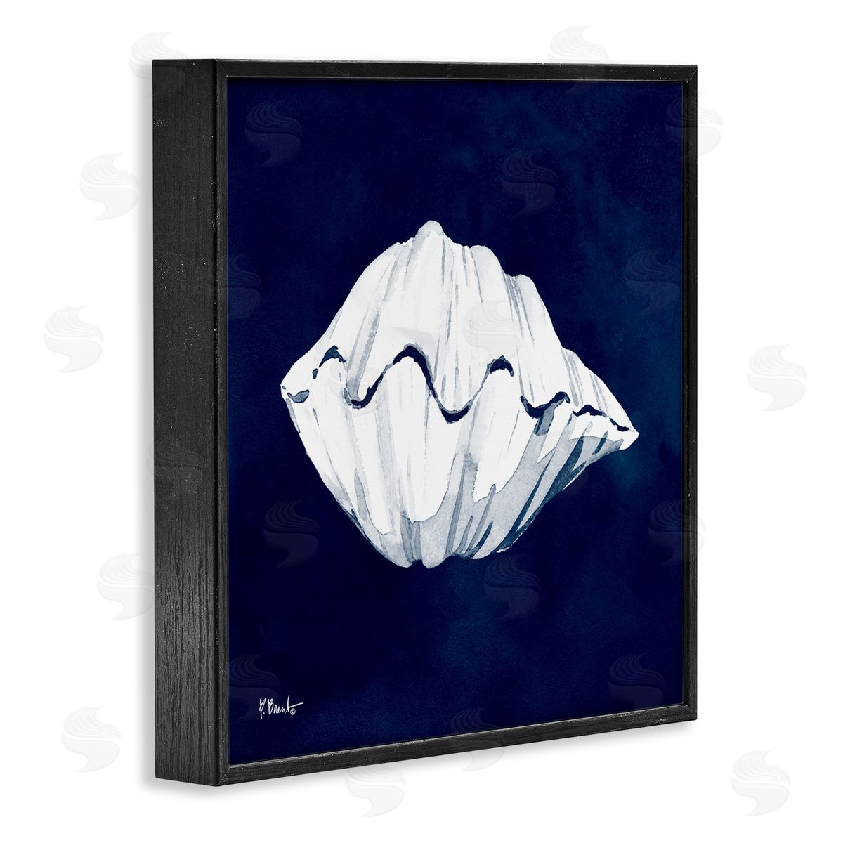 Paul Brent Cyanotype Shells Coastal Clam Black Framed Glicee Wall Art Print
