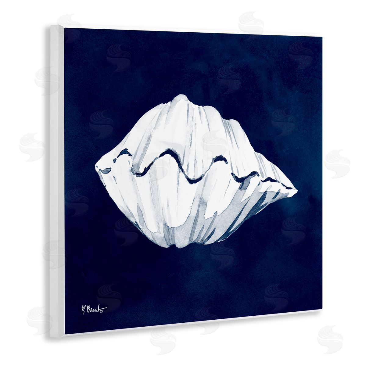 Paul Brent Cyanotype Shells Coastal Clam Wooden Wall Plaque Art Print