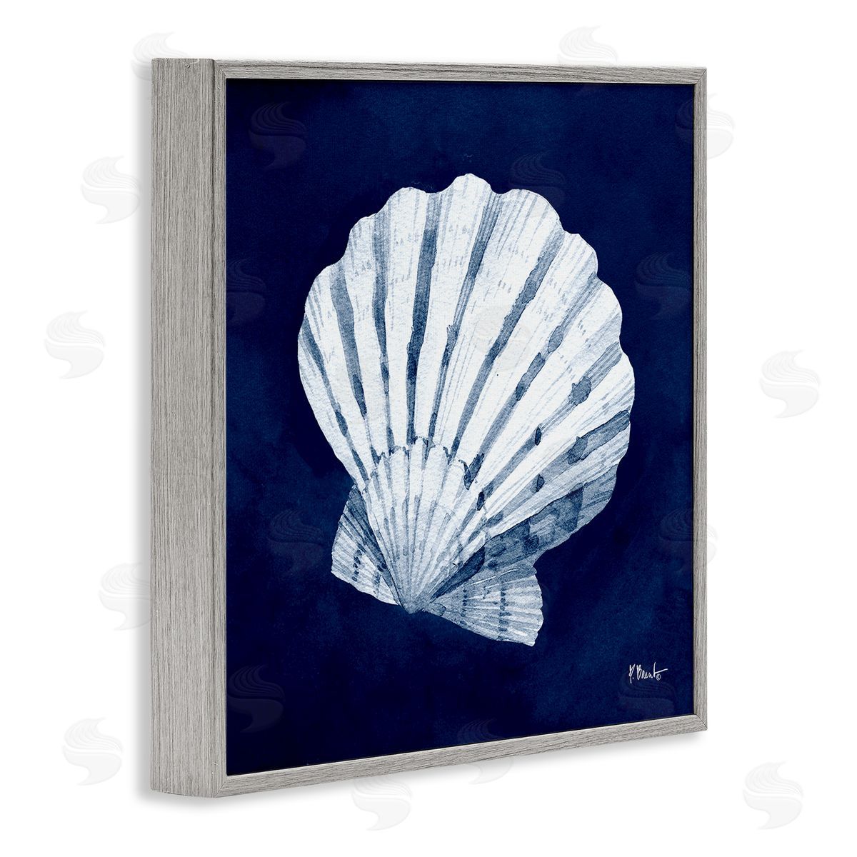Paul Brent Cyanotype Shells Traditional Scallop Gray Framed Glicee Wall Art Print