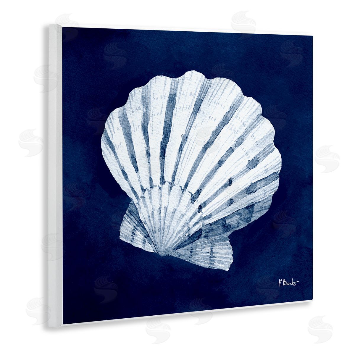 Paul Brent Cyanotype Shells Traditional Scallop Wooden Wall Plaque Art Print