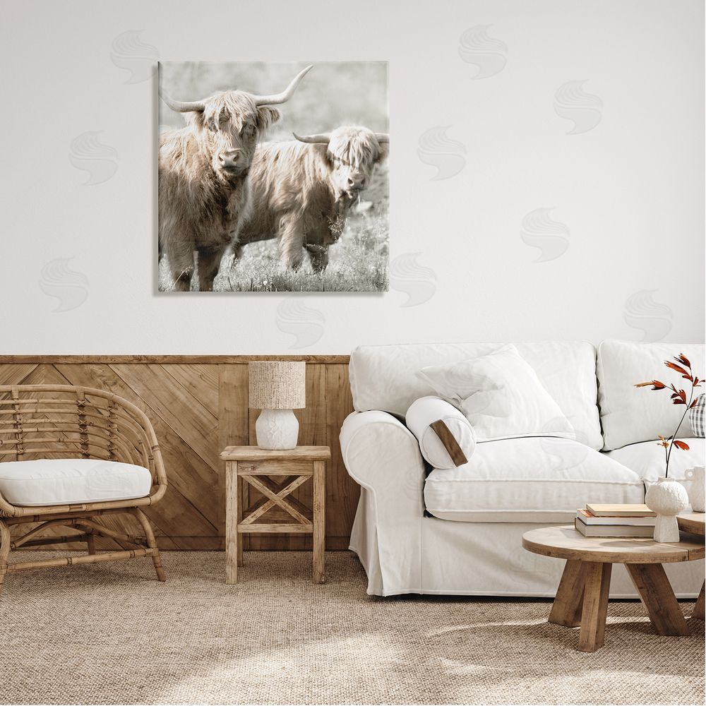 Danita Delimont Highland Cattle Pair Grazing Canvas Wall Art in Room