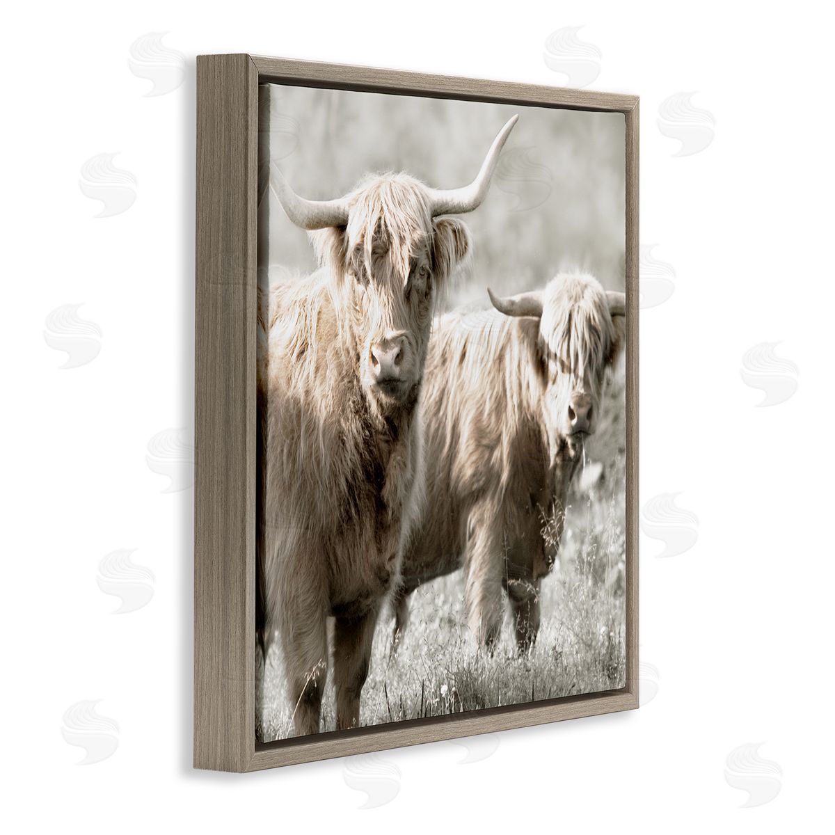 Danita Delimont Highland Cattle Pair Grazing Brown Floating Frame Canvas Wall Art Print