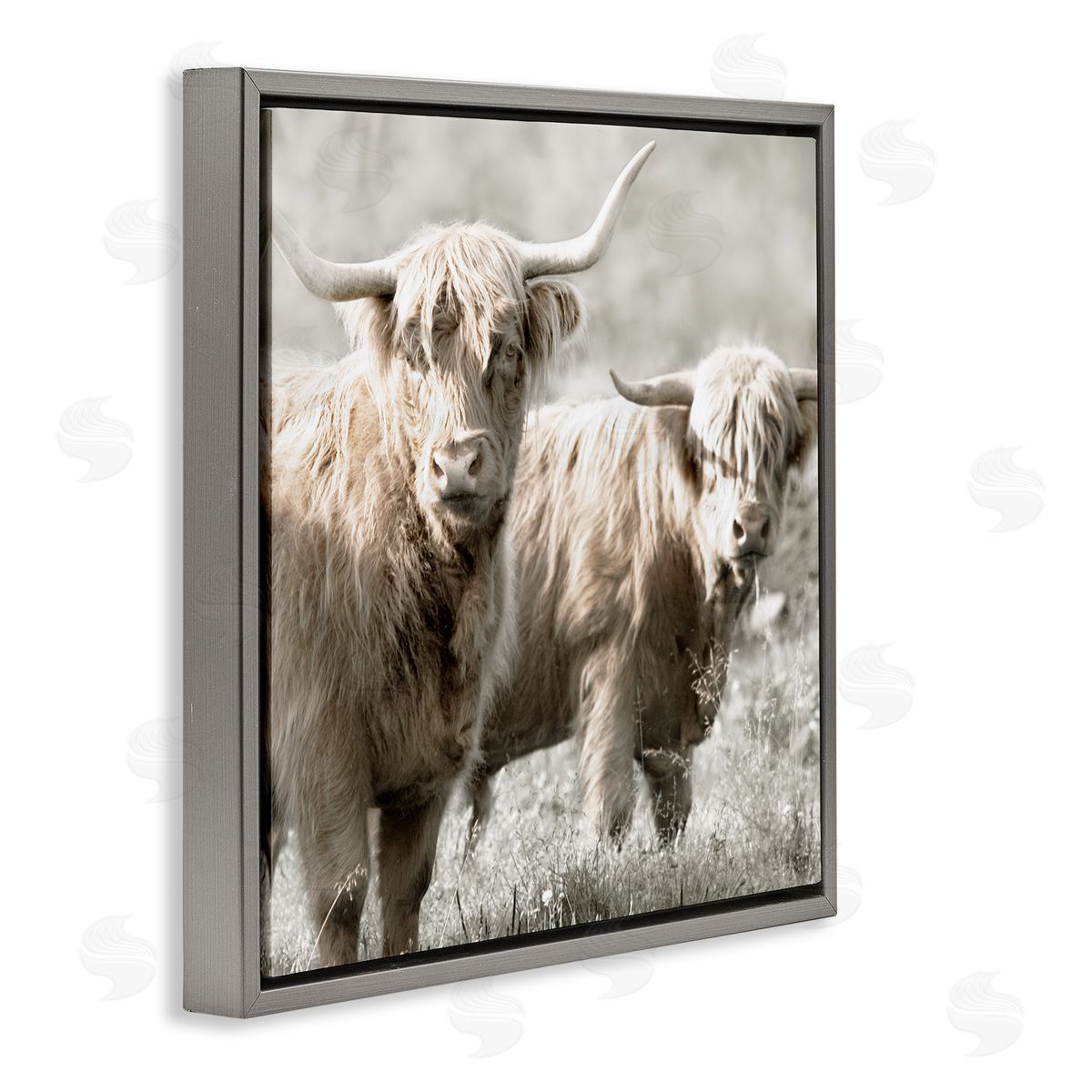 Danita Delimont Highland Cattle Pair Grazing Gray Floating Frame Canvas Wall Art Print