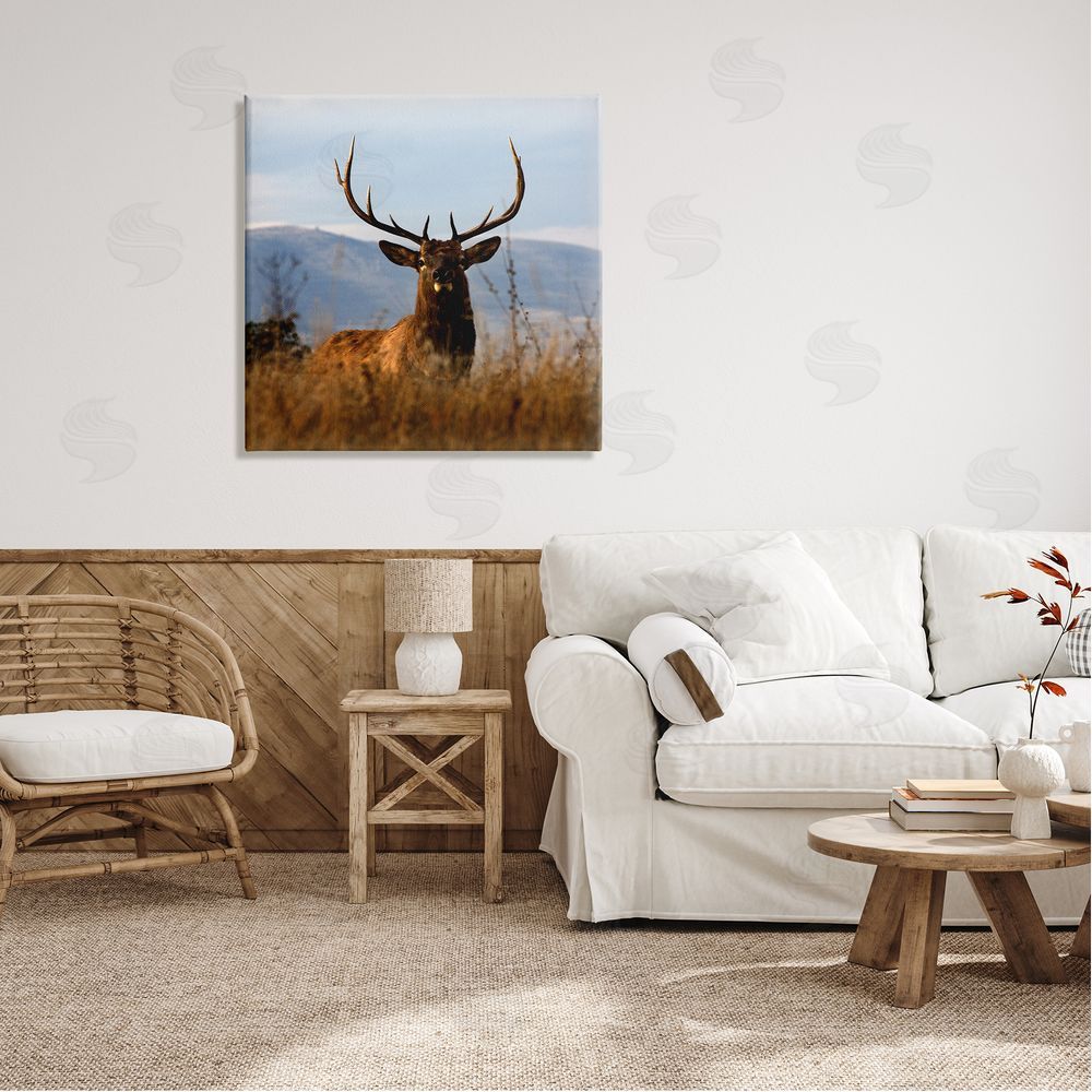 Danita Delimont Buck in Tall Grass Landscape Canvas Wall Art in Room