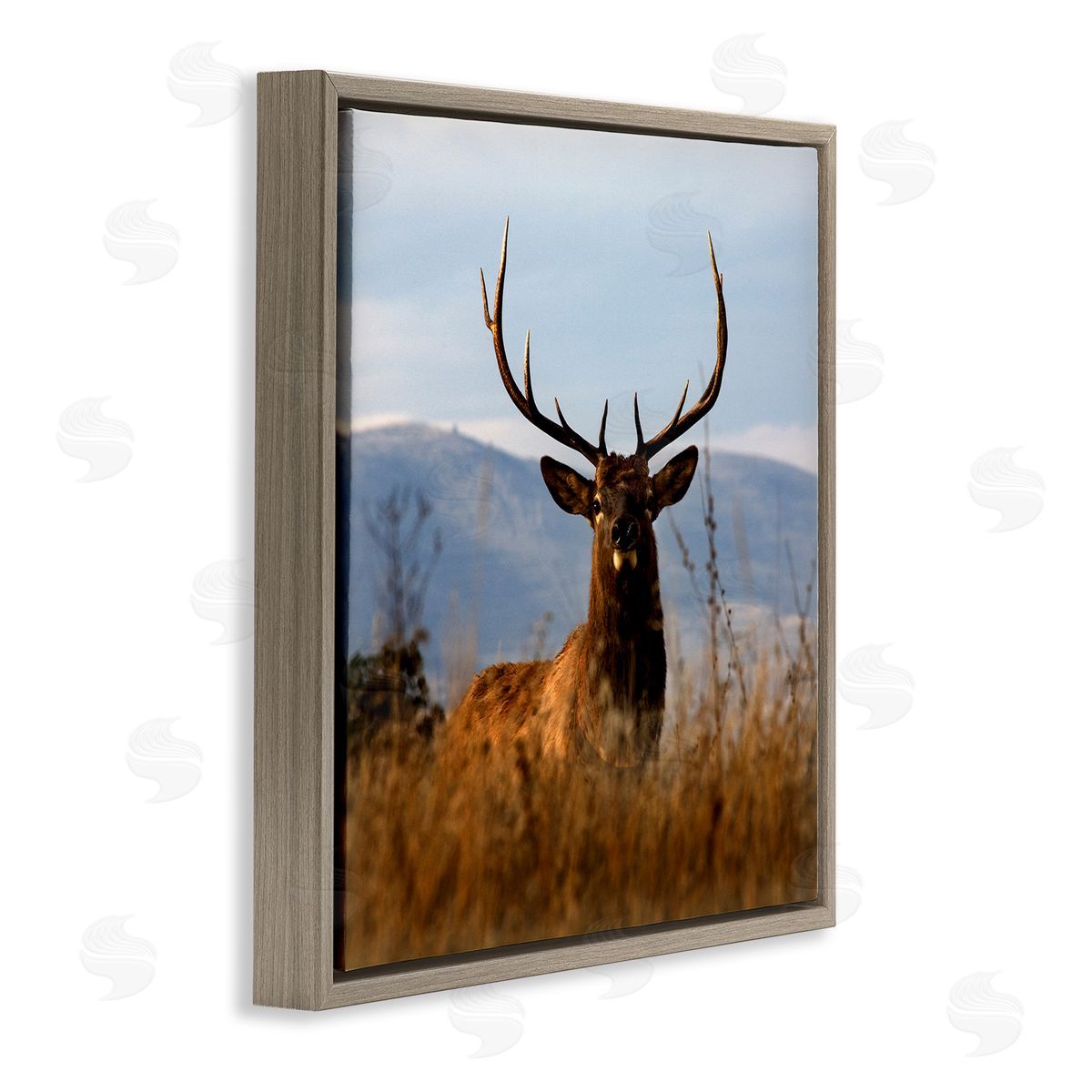 Danita Delimont Buck in Tall Grass Landscape Brown Floating Frame Canvas Wall Art Print