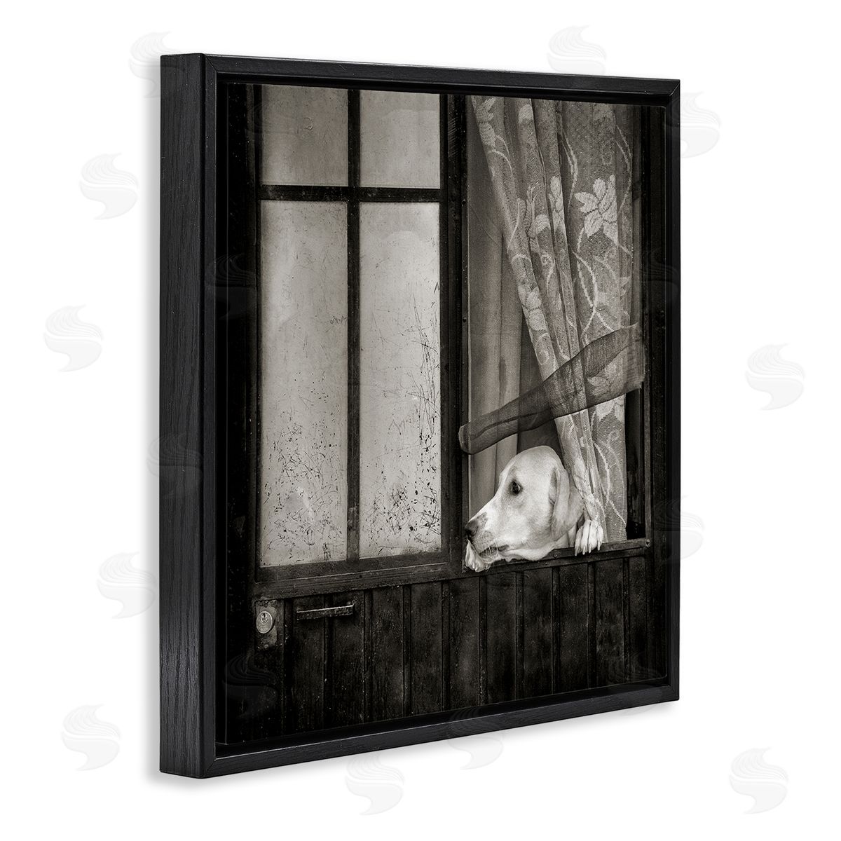 David Lorenz Labrador Dog Farmhouse Barn Door  Black Floating Frame Canvas Wall Art Print