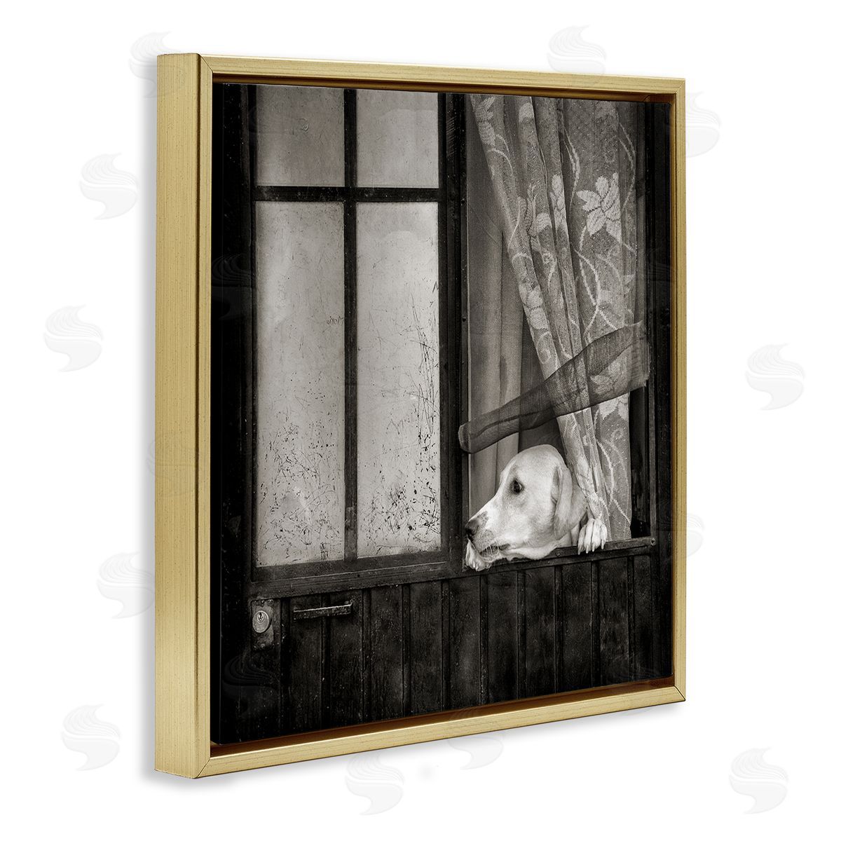 David Lorenz Labrador Dog Farmhouse Barn Door  Gold Floating Frame Canvas Wall Art Print