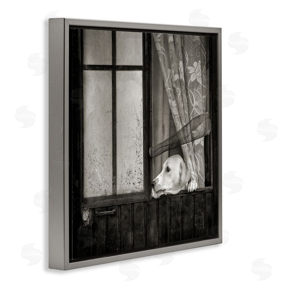 David Lorenz Labrador Dog Farmhouse Barn Door  Gray Floating Frame Canvas Wall Art Print