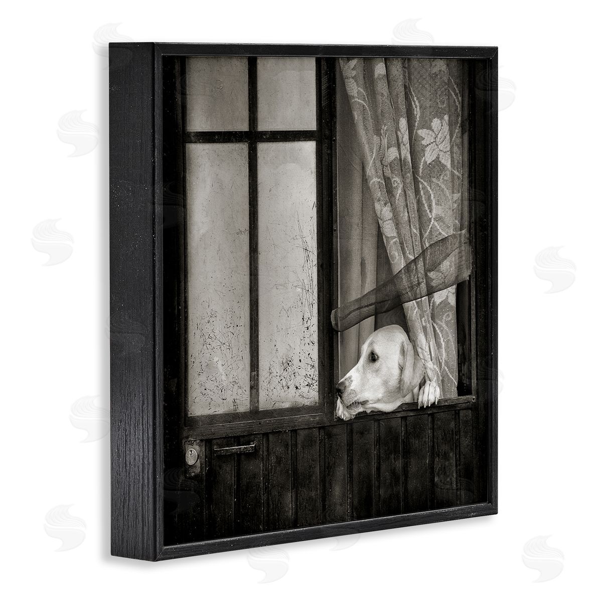 David Lorenz Labrador Dog Farmhouse Barn Door  Black Framed Glicee Wall Art Print