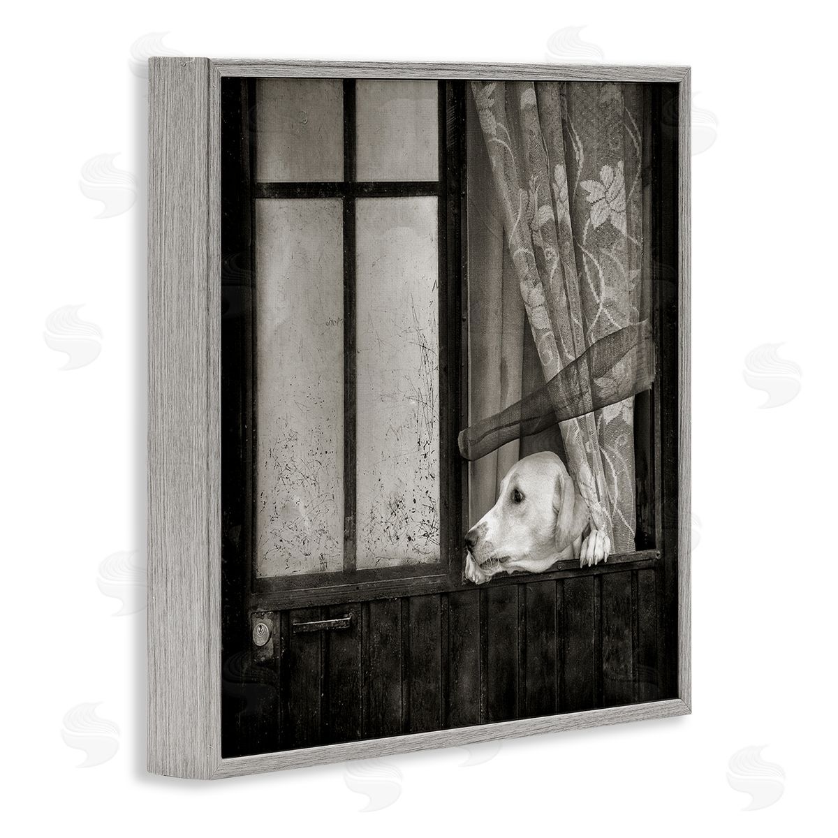 David Lorenz Labrador Dog Farmhouse Barn Door  Gray Framed Glicee Wall Art Print