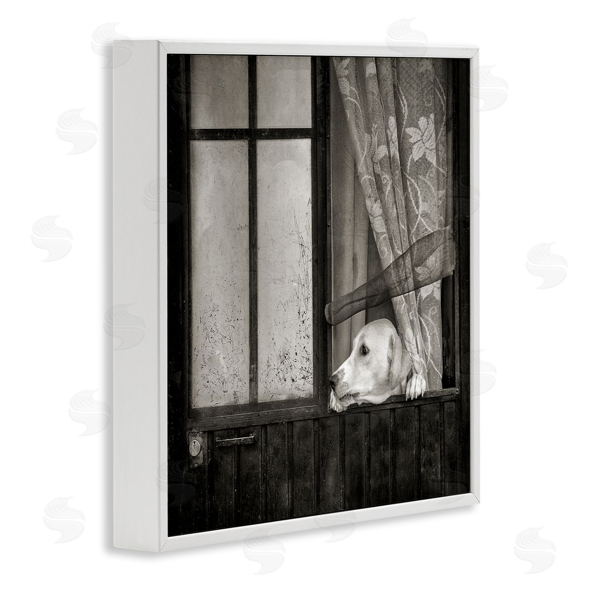 David Lorenz Labrador Dog Farmhouse Barn Door  White Framed Glicee Wall Art Print